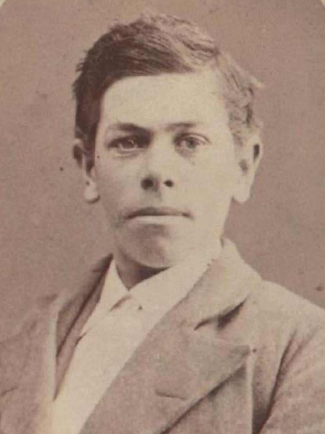 William Jedediah Brimley (1857 - 1943) Profile